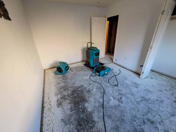 Best Sewage cleanup and water damage restoration  in Canby, MN