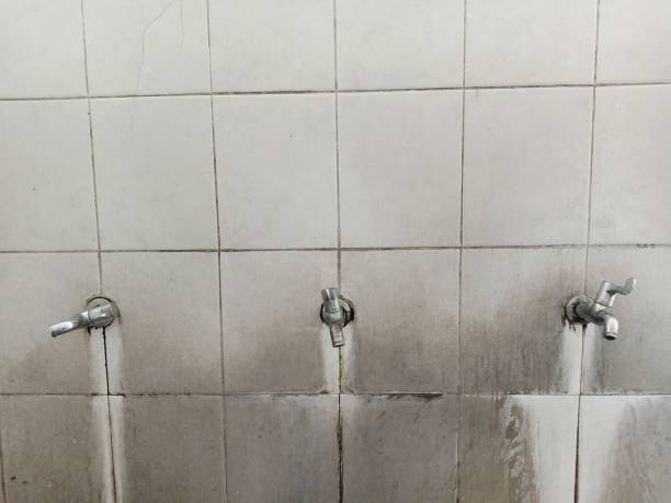 Best Flooded house restoration  in Canby, MN
